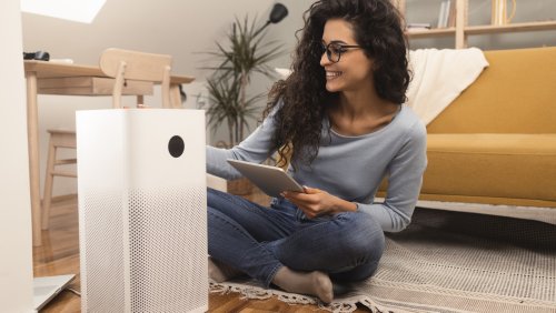 The Best Way To Clean Your Air Purifier (And How Often You Need To)
