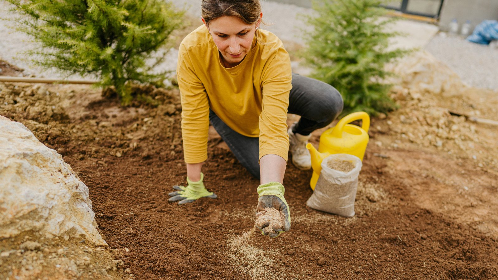Replace Your Grass With This Flowering Ground Cover For A Lawn Full Of Color - House Digest