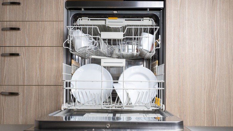 Here's What You Can Substitute For Dishwasher Detergent
