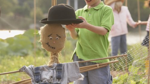 DIY The Cutest Fall Scarecrow With Pool Noodles, Here's How
