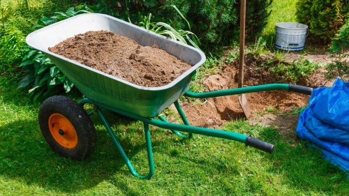5 Reasons Why You Should Add Sand To Your Lawn