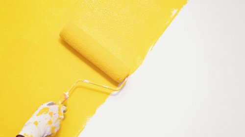 The Best Roller For Your Painting Projects, According To An Expert