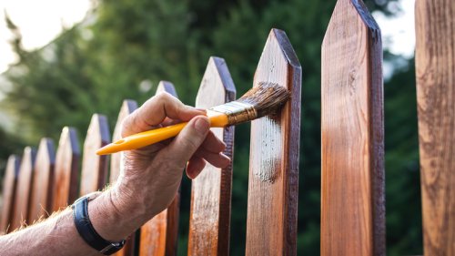 5 Savvy Tips For Staining Your Wood Fence