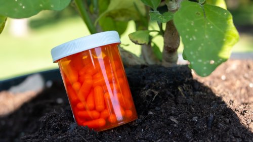 Can Expired Vitamins Be Composted?