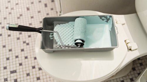 Mistakes Everyone Makes When Painting Behind The Toilet