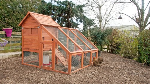 How To Build The Best Chicken Coop