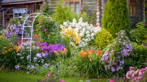 26 Summer Blooming Perennials Perfect For A Colorful Garden