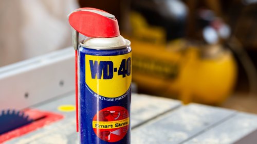 How WD-40 May Help Keep Your Home Bug-Free