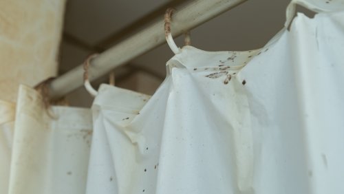 Ditch The Traditional Shower Curtain For A Hookless Alternative For Easy Cleaning
