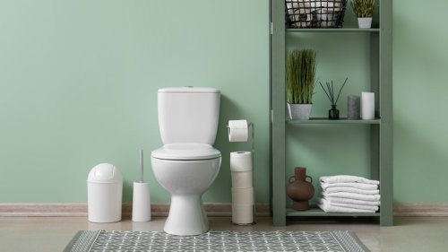 Here's Why Your Basement Bathroom Is Calling For An Upflush Toilet