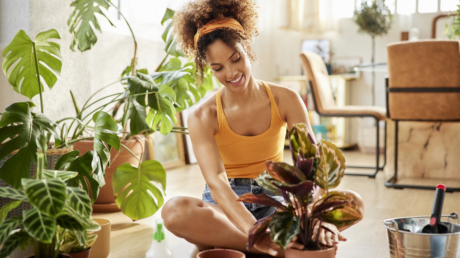 9 Household Ingredients That Can Benefit Houseplants Flipboard