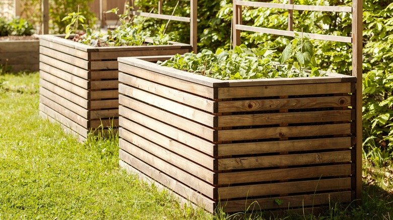 The Affordable DIY Alternative To Raised Garden Beds You Need To See To Believe