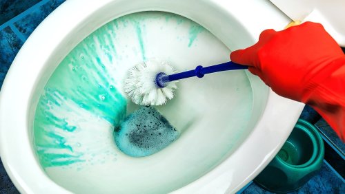 The Top 5 Best Toilet Cleaners To Keep Your Bowl Sparkling Clean