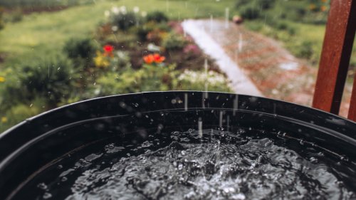 4 Types Of Rain Barrels That Will Boost Your Garden And Conserve Water