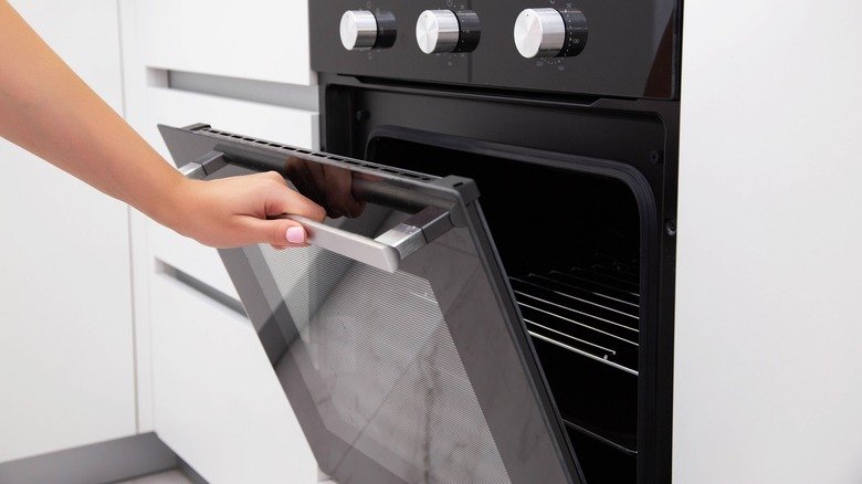 Clean Your Oven Glass Door Naturally With Two Budget-Friendly Items