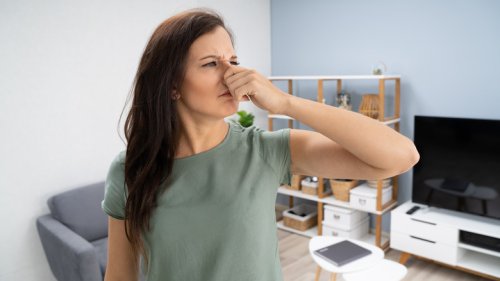 The Top 10 Best Odor Eliminators For A Fresh-Smelling Home