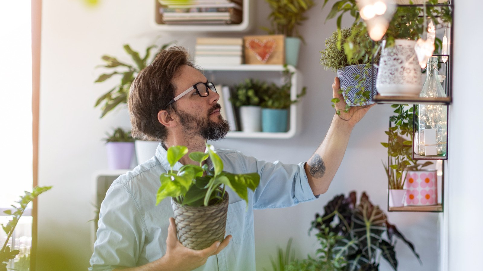 What Is The Hardest Houseplant To Grow? - House Digest