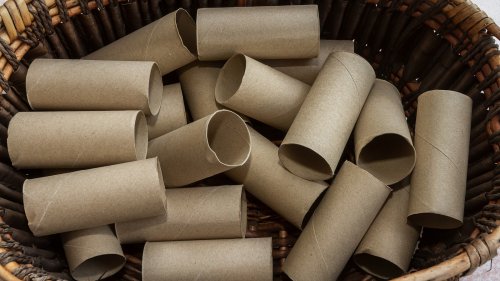 Start Burying Toilet Paper Rolls In Your Garden And Watch It Thrive