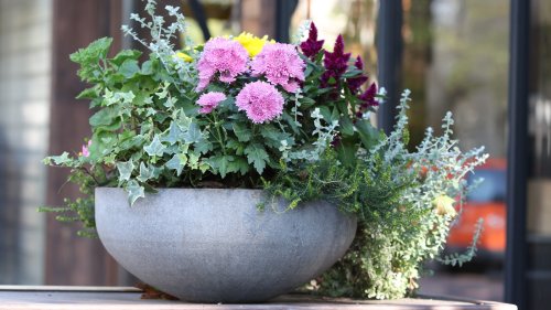 A DIY Faux Stone Planter That Easily Passes As The Real Thing