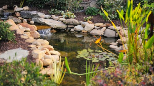 Environmental Benefits Of Adding A Pond To Your Garden