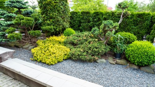 17 Evergreen Shrubs To Make Your Landscaping Look Great All Year - House Digest