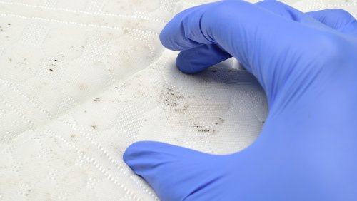 After A Recent Recall, Here Are The Ways You Can Spot Hidden Mold In Your Mattress