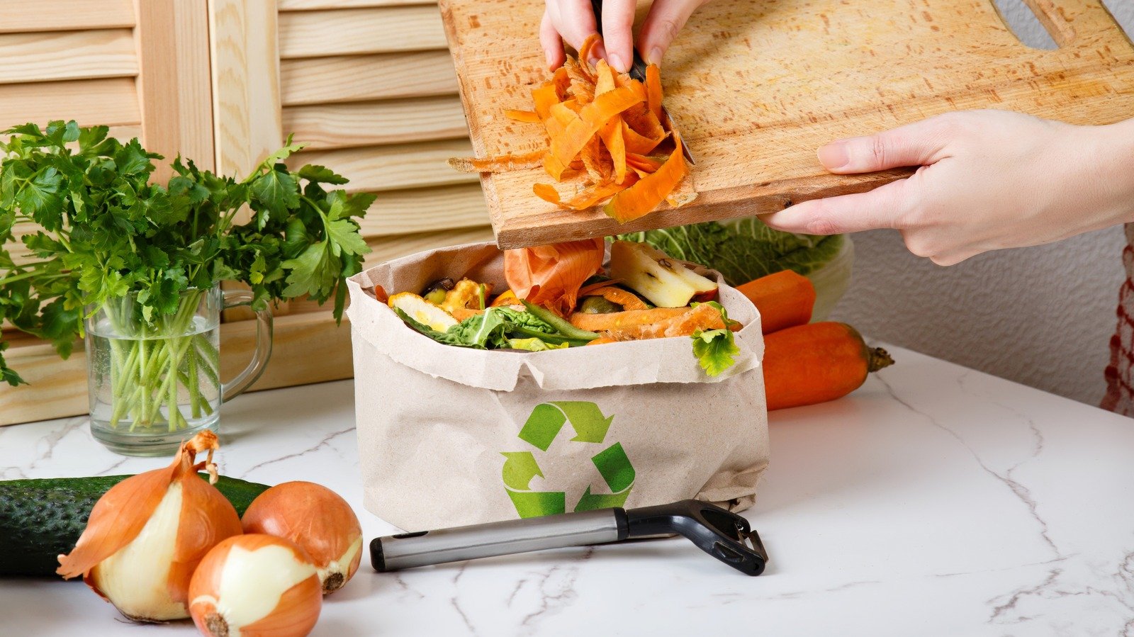 Don't Throw Out These Kitchen Scraps, Use Them In A DIY Plant Fertilizer Instead