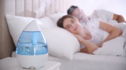 The Hidden Downsides To Humidifiers