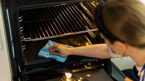 Get Your Oven Sparkling Clean With A Natural Item And Very Little Effort