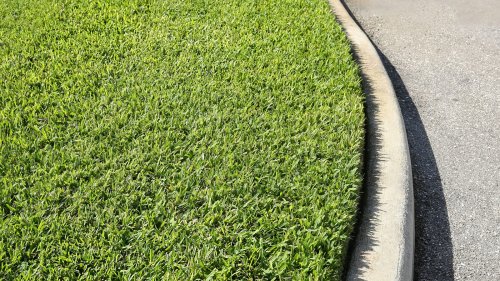 Mowing Tips To Keep Your Drought-Tolerant Floratam Lawn Looking Its Best