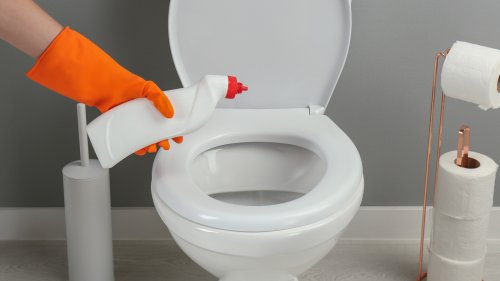 How To Clean Hard Water Stains From A Toilet With Little Effort & Natural Ingredients
