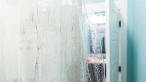 The Best Way To Clean Your Plastic Shower Curtain