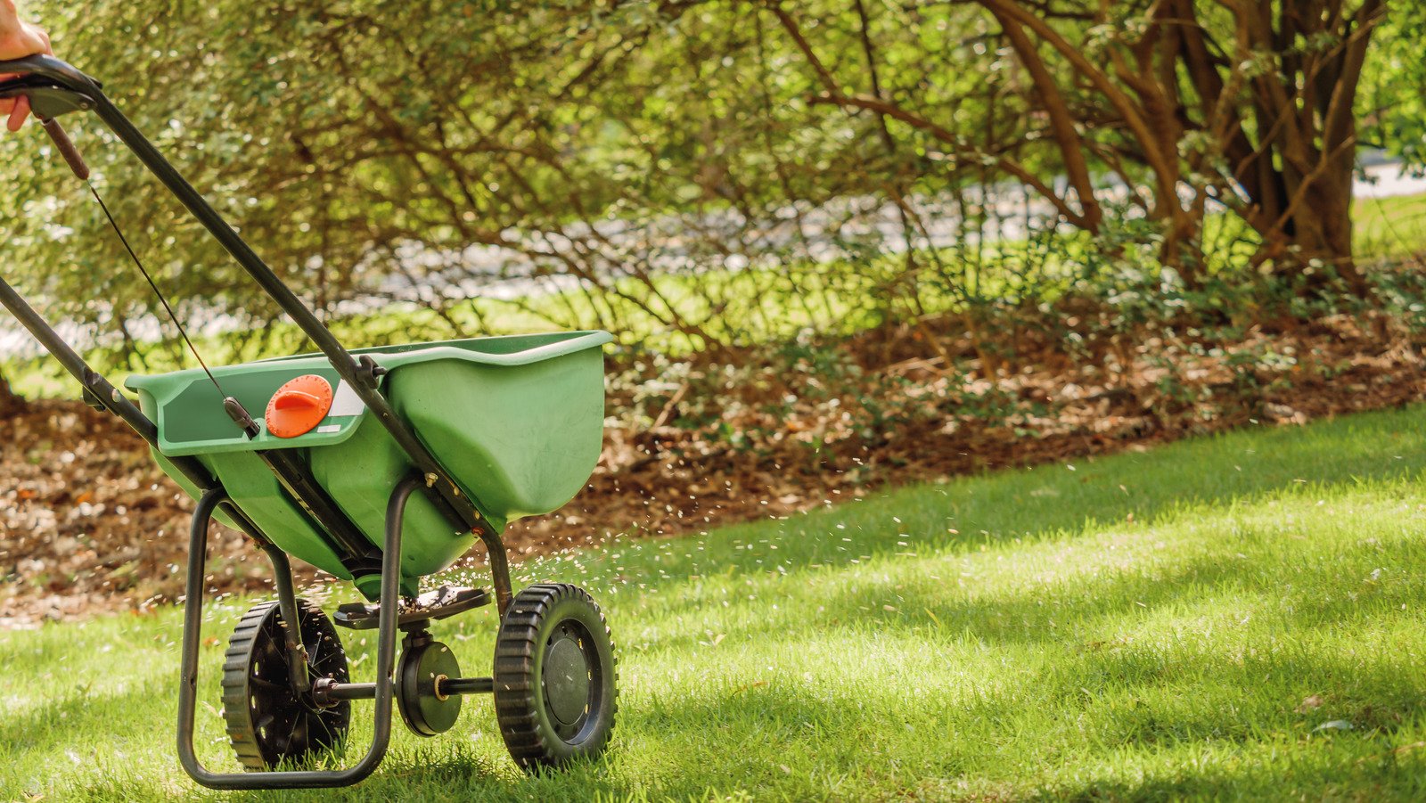 A Nutritious Fertilizer For Your Lawn Is Already In Your Kitchen