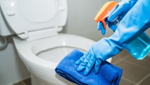 The 12 Best Toilet Cleaning Hacks That'll Make Your Bathroom Sparkle