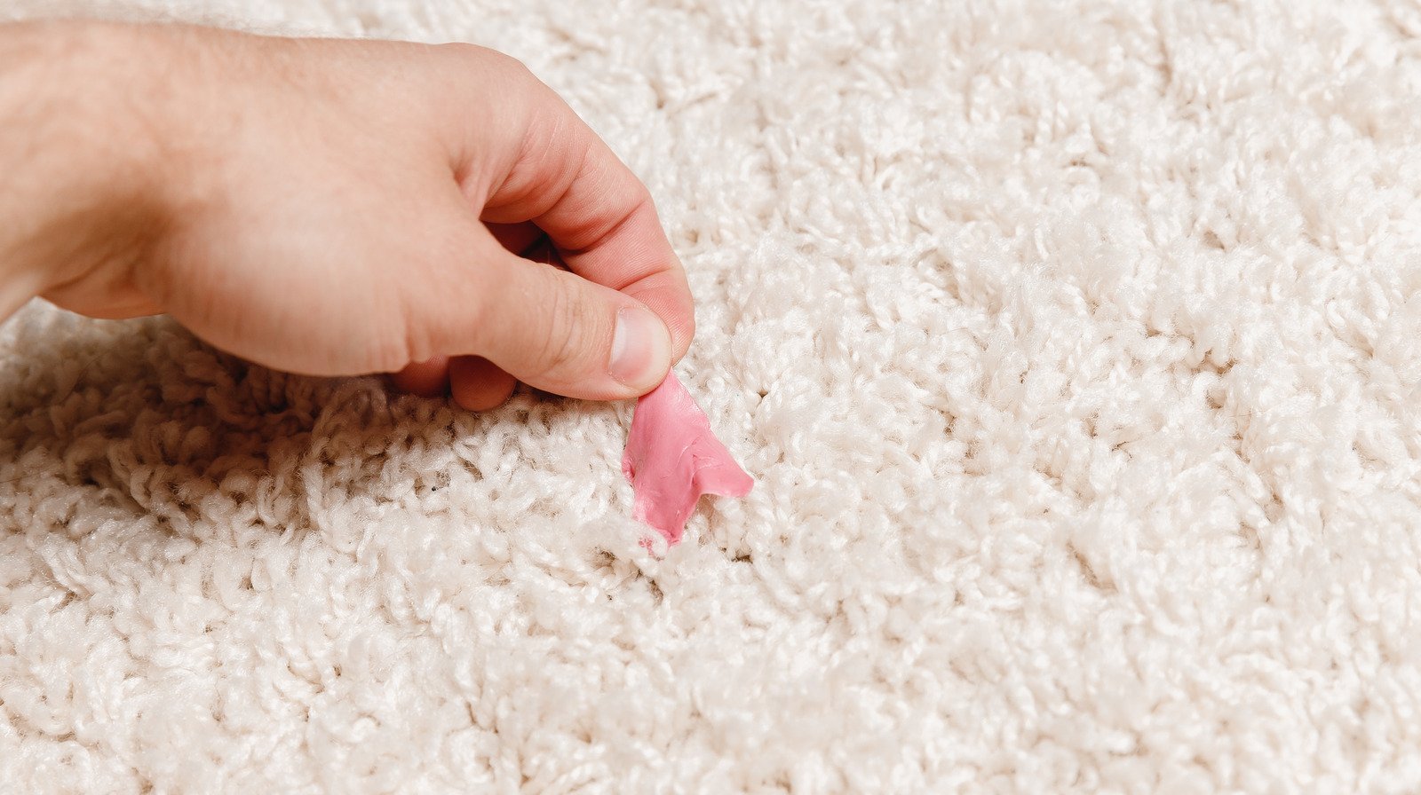 What To Do If You End Up With Gum In Your Carpet
