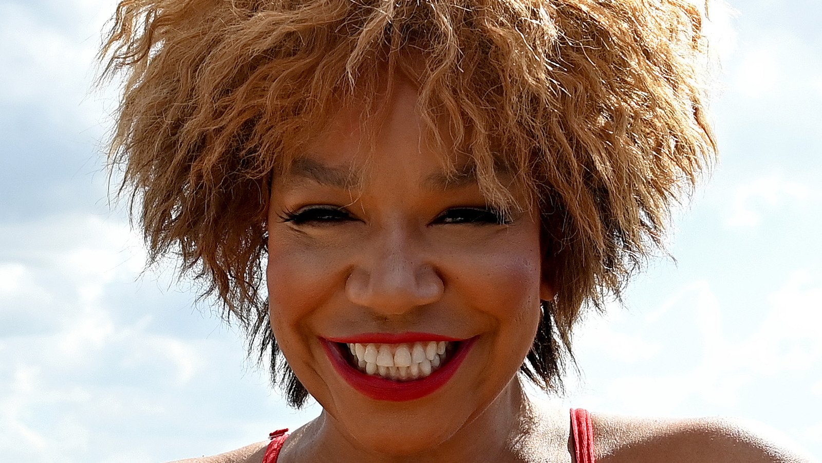 Tina Turner Just Bought A Super Expensive Retreat In Switzerland - House Digest