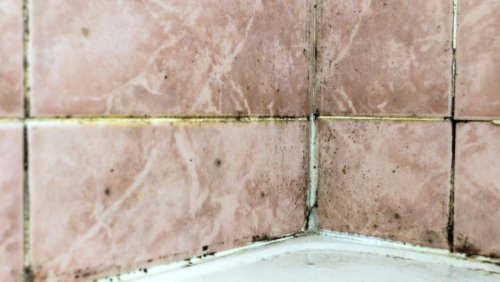 The Best Way To Clean Moldy Grout Without Any Damage, According To Our Cleaning Expert