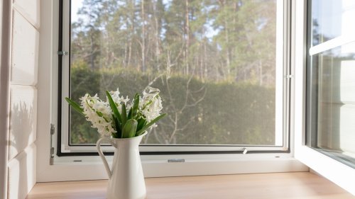 Here's How To Clean Your Window Screens Without Removing Them
