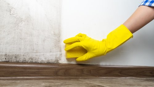 The Hydrogen Peroxide Method That'll Make Your Dirty Walls Look Good As New