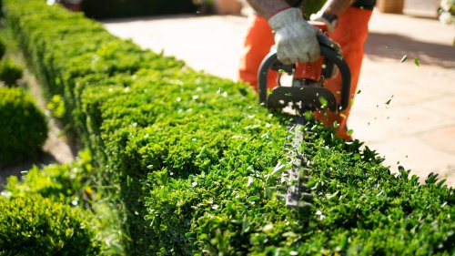These 11 DeWalt Tools Are Game Changers For Yard & Garden Projects, According To Buyers