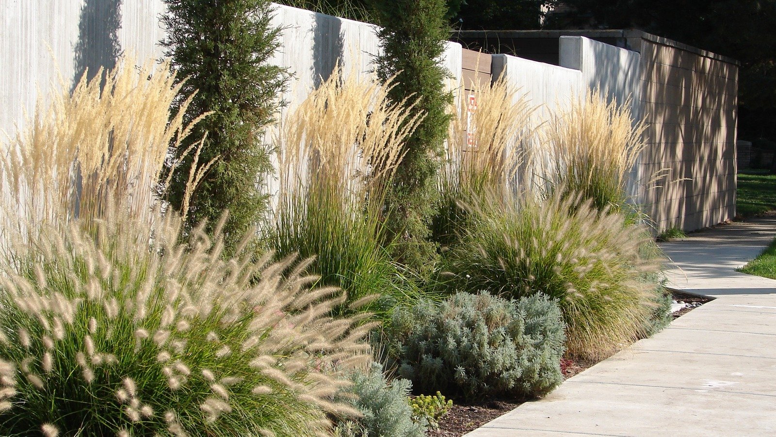 The Best Time Of Year To Cut Back Your Ornamental Grasses