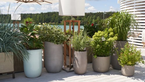 Common Materials You Should Never Use To Fill The Bottom Of Large Planters