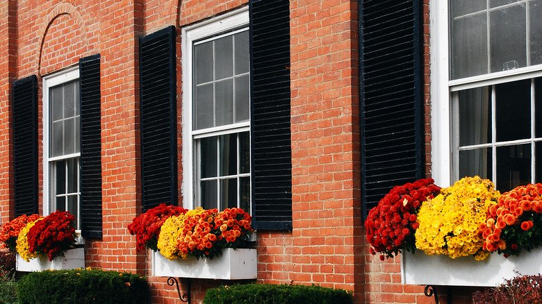 20 Cozy Fall Window Box Ideas For Your Home