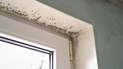 The Best Way To Vent A Bathroom To Keep It Mold-Free