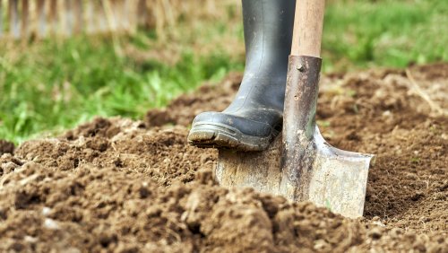 Easily Break Up Clay Soil With These Helpful Gardening Tips