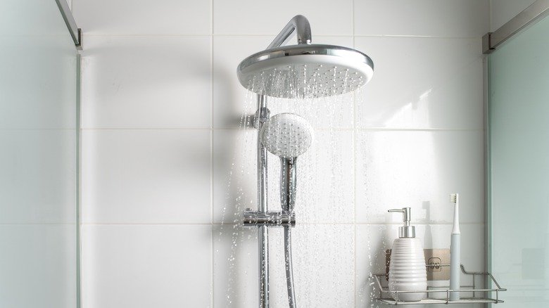 The Cheap And Effective Bath Item That Will Keep Your Shower Sparkling Clean