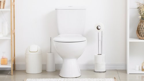 Types Of Toilet Bowls You Should Know