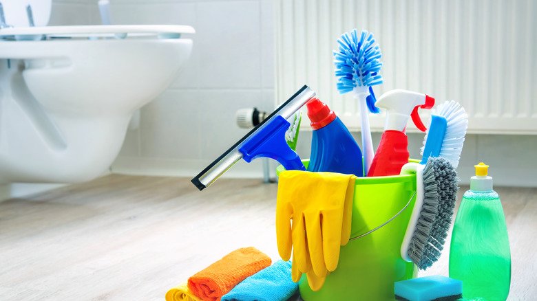 The Toilet Cleaning TikTok Hack That Makes Chores So Much Easier