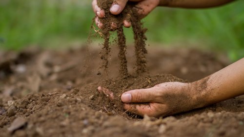 What Are Soil Conditioners And Do I Need To Use Them In My Garden?