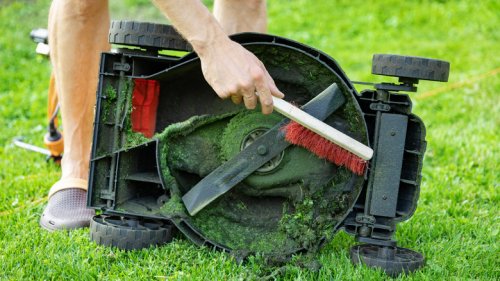 How To Prevent Grass From Sticking To Your Lawn Mower Blades (It's Not WD-40)